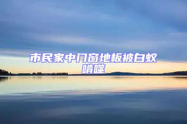 市民家中门窗地板被白蚁啃噬