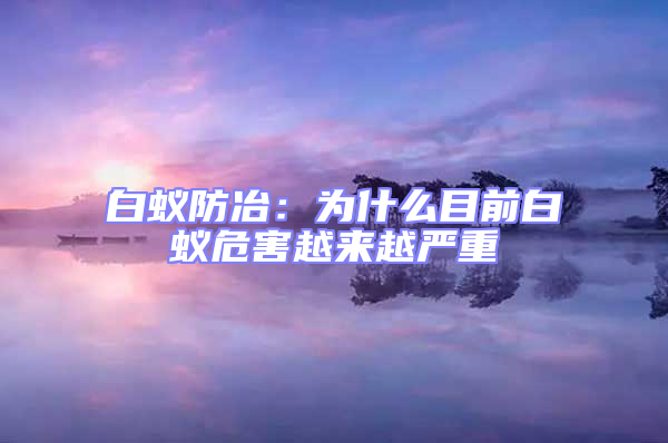 白蚁防冶：为什么目前白蚁危害越来越严重