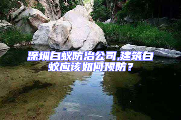 深圳白蚁防治公司,建筑白蚁应该如何预防？