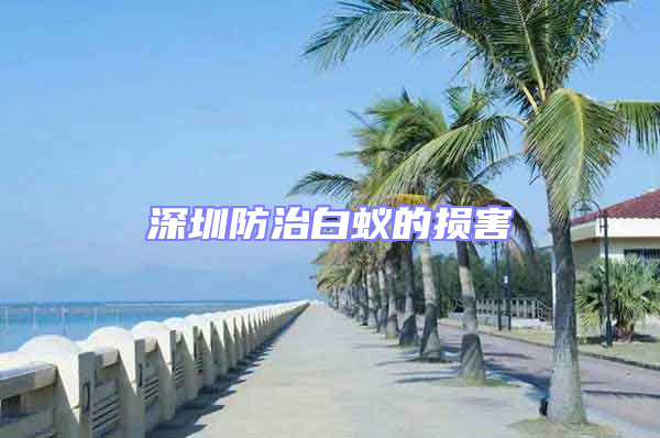 深圳防治白蚁的损害