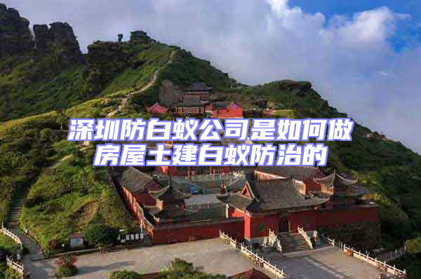 深圳防白蚁公司是如何做房屋土建白蚁防治的