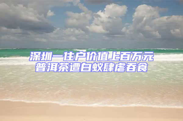 深圳一住户价值上百万元普洱茶遭白蚁肆虐吞食