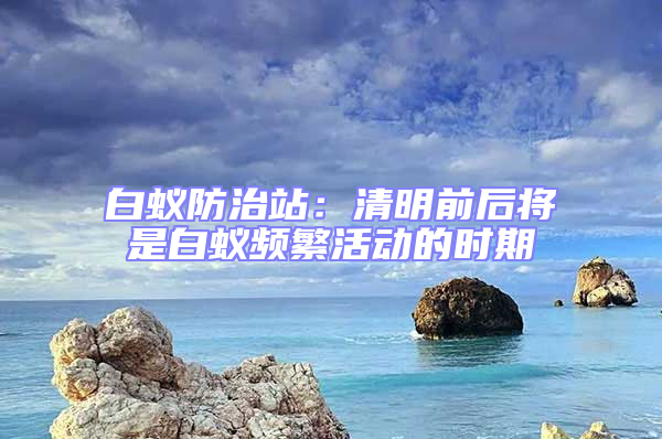 白蚁防治站：清明前后将是白蚁频繁活动的时期