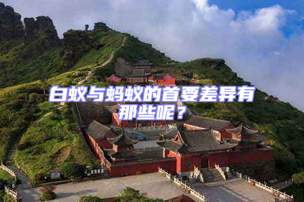 白蚁与蚂蚁的首要差异有那些呢？
