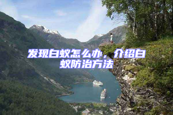发现白蚁怎么办，介绍白蚁防治方法