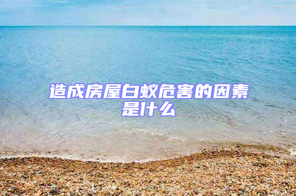 造成房屋白蚁危害的因素是什么