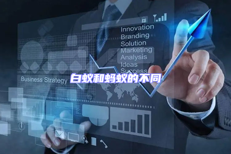 白蚁和蚂蚁的不同