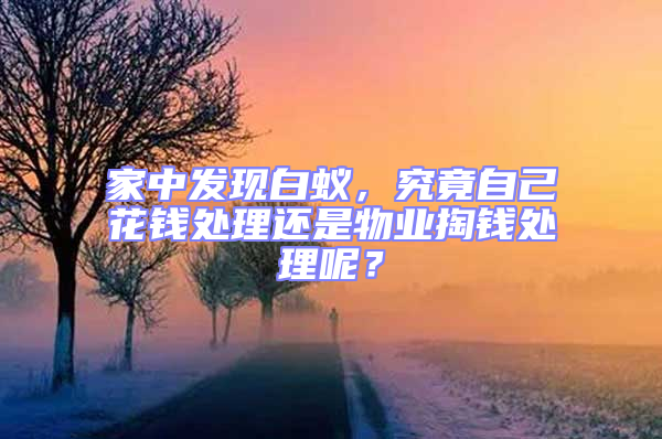 家中发现白蚁，究竟自己花钱处理还是物业掏钱处理呢？