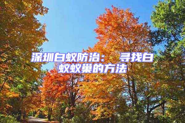 深圳白蚁防治： 寻找白蚁蚁巢的方法
