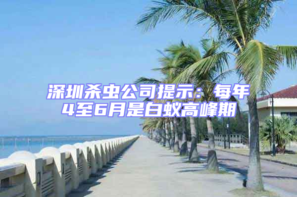 深圳杀虫公司提示：每年4至6月是白蚁高峰期