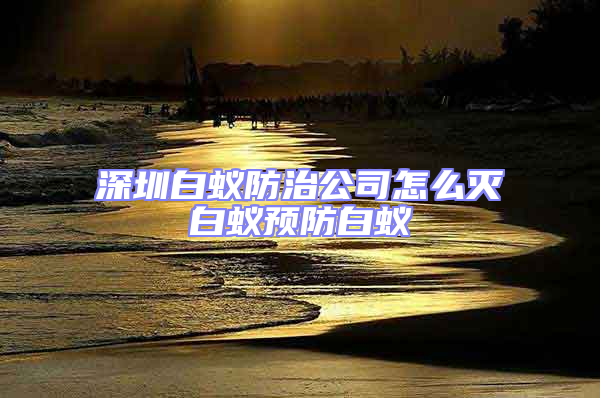 深圳白蚁防治公司怎么灭白蚁预防白蚁