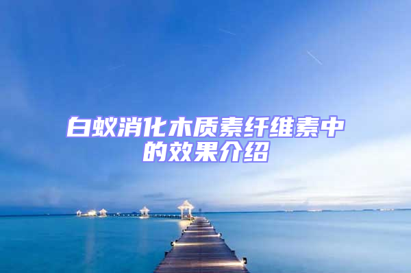 白蚁消化木质素纤维素中的效果介绍