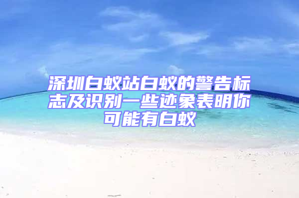 深圳白蚁站白蚁的警告标志及识别一些迹象表明你可能有白蚁