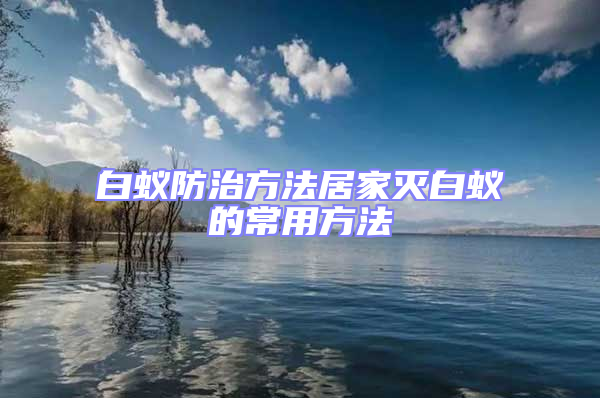 白蚁防治方法居家灭白蚁的常用方法