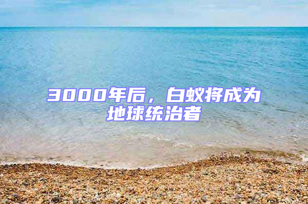 3000年后，白蚁将成为地球统治者