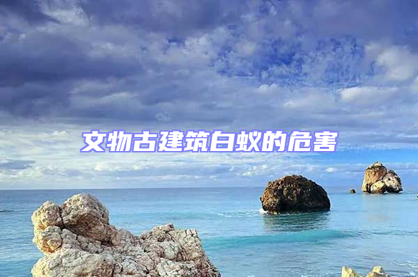 文物古建筑白蚁的危害