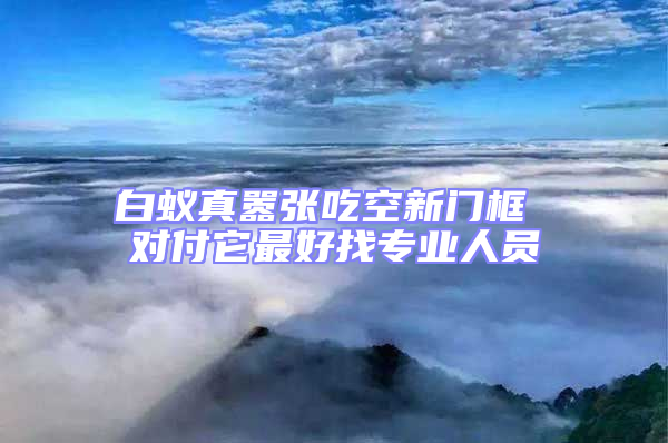 白蚁真嚣张吃空新门框 对付它最好找专业人员