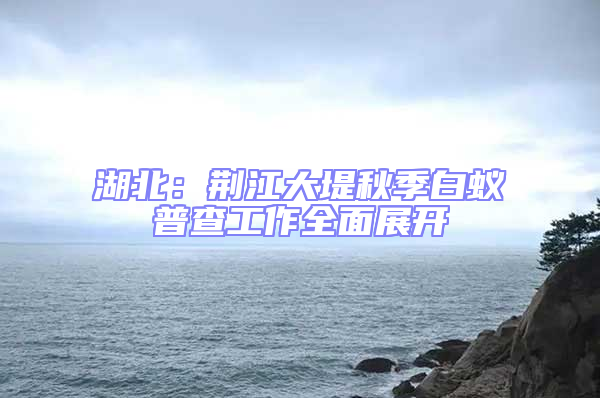 湖北：荆江大堤秋季白蚁普查工作全面展开