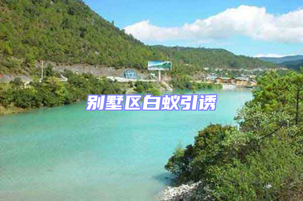 别墅区白蚁引诱