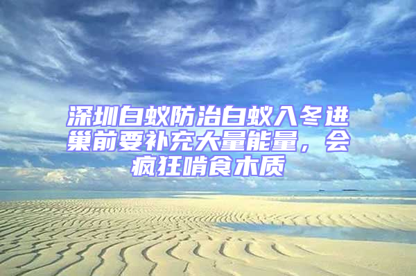 深圳白蚁防治白蚁入冬进巢前要补充大量能量，会疯狂啃食木质