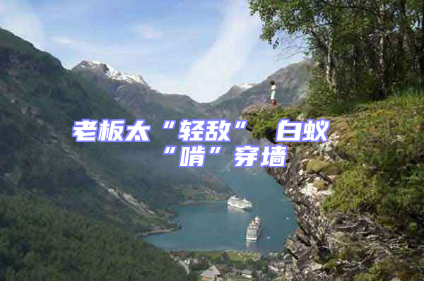 老板太“轻敌” 白蚁“啃”穿墙
