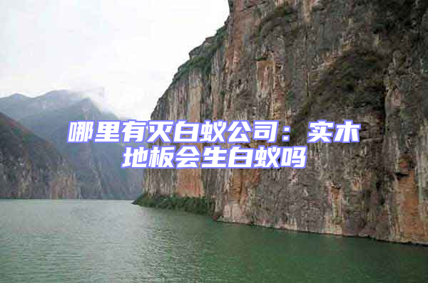 哪里有灭白蚁公司：实木地板会生白蚁吗