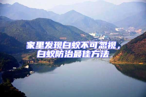 家里发现白蚁不可忽视，白蚁防治最佳方法
