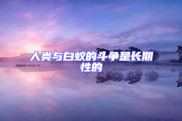 人类与白蚁的斗争是长期性的