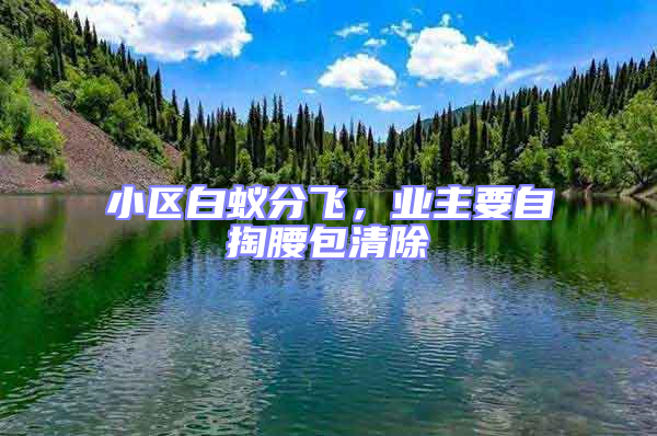 小区白蚁分飞，业主要自掏腰包清除