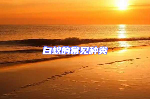 白蚁的常见种类