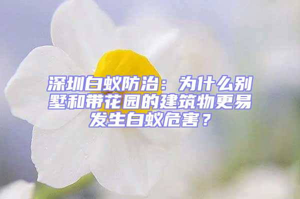 深圳白蚁防治：为什么别墅和带花园的建筑物更易发生白蚁危害？