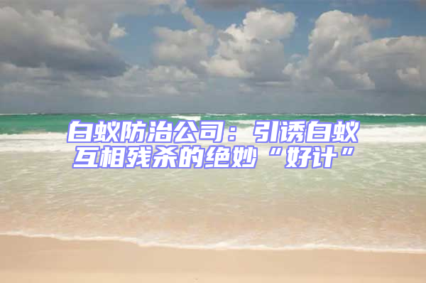 白蚁防治公司：引诱白蚁互相残杀的绝妙“好计”