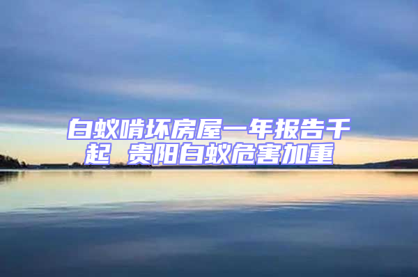 白蚁啃坏房屋一年报告千起 贵阳白蚁危害加重