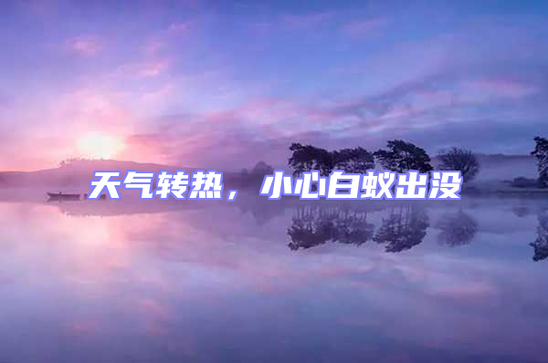 天气转热，小心白蚁出没