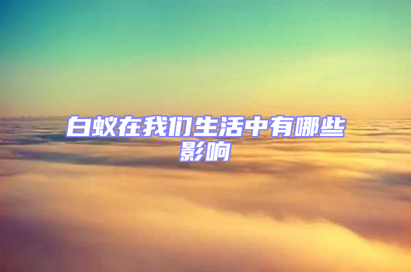 白蚁在我们生活中有哪些影响