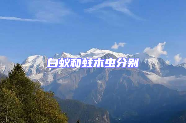 白蚁和蛀木虫分别