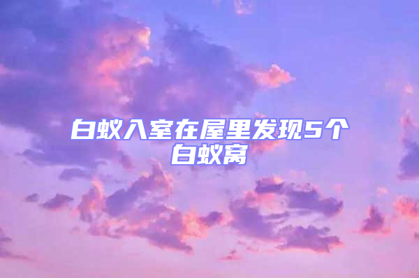 白蚁入室在屋里发现5个白蚁窝