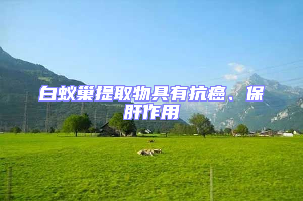 白蚁巢提取物具有抗癌、保肝作用