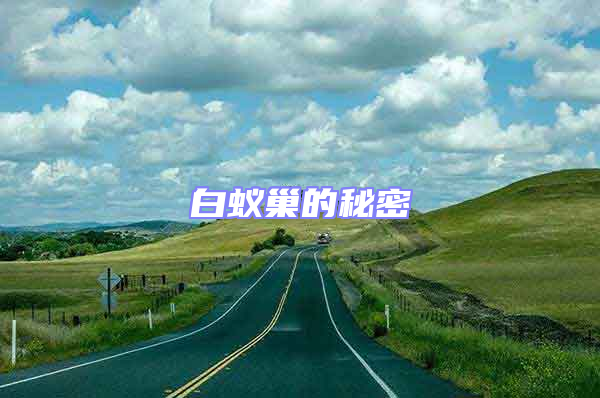 白蚁巢的秘密