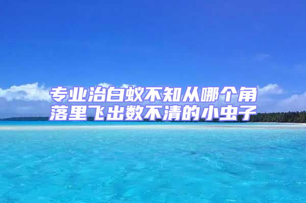 专业治白蚁不知从哪个角落里飞出数不清的小虫子