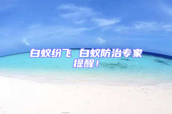 白蚁纷飞 白蚁防治专家提醒！
