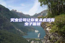 灭虫公司让你家从此没有虫子困扰