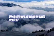 灭蟑螂的时候蟑螂卵如何灭除好