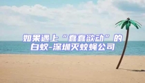 如果遇上“蠢蠢欲动”的白蚁-深圳灭蚊蝇公司