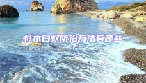 杉木白蚁防治方法有哪些?