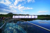 白蚁预防的重要性