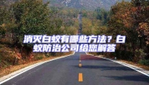 消灭白蚁有哪些方法？白蚁防治公司给您解答