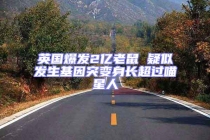 英国爆发2亿老鼠 疑似发生基因突变身长超过喵星人