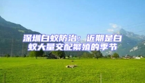深圳白蚁防治:近期是白蚁大量交配繁殖的季节