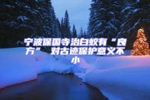 宁波保国寺治白蚁有“良方” 对古迹保护意义不小